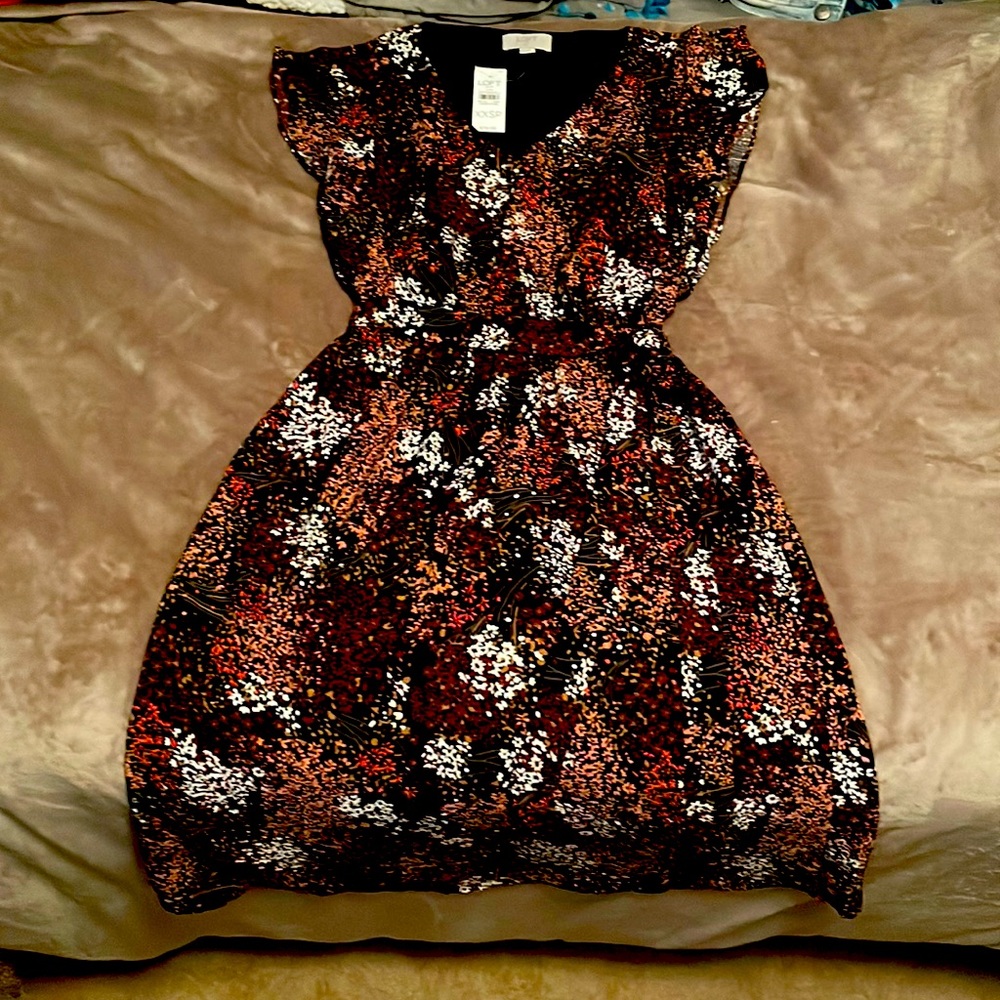 NEW Petite Loft XXS T-Length dress with belt